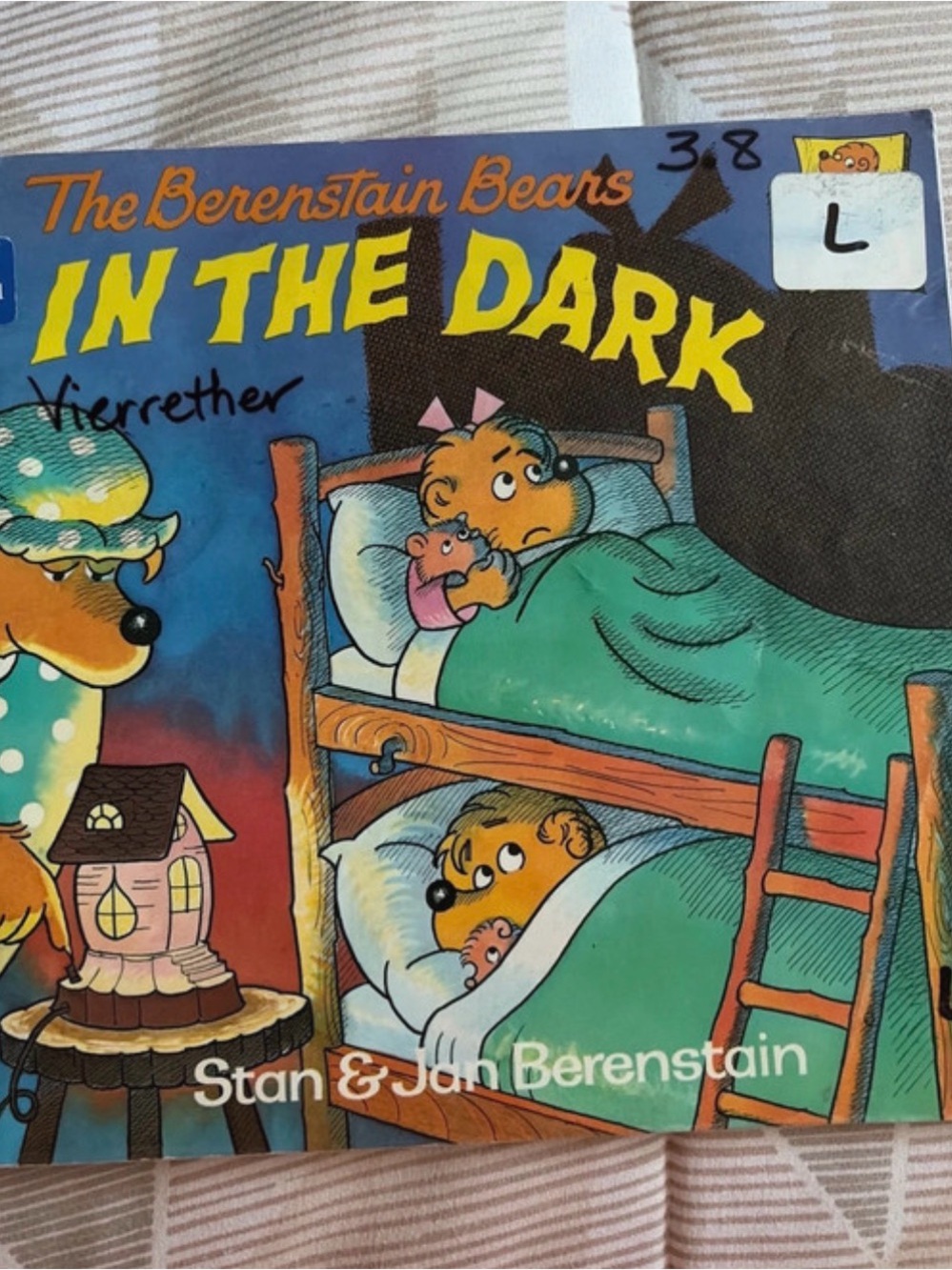 The Berenstain Bears in the dark kids book